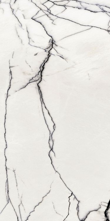 B&W Breach Naturale 24 x 48